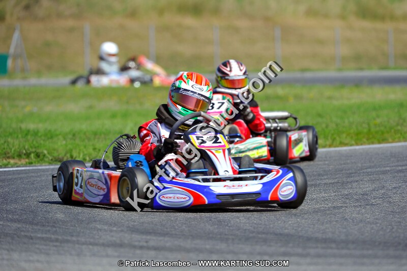 DSC_ (1274).jpg